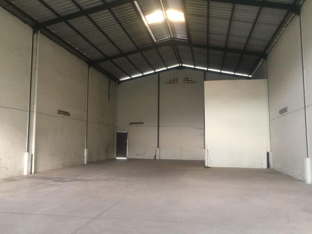 WhatsApp-Image-2023-04-17-at-18.43.45