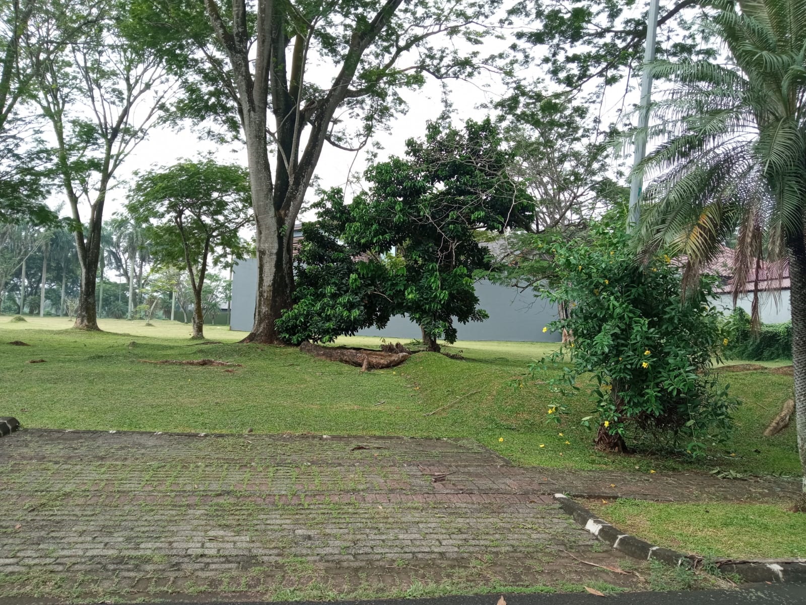 WhatsApp-Image-2023-07-08-at-15.42.47-1