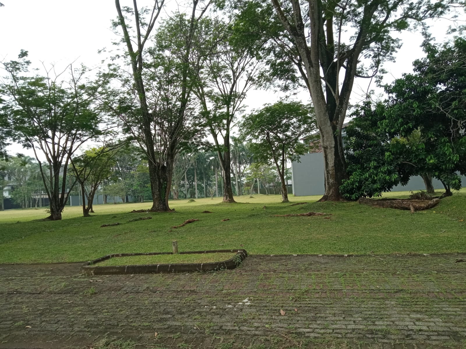 WhatsApp-Image-2023-07-08-at-15.42.47