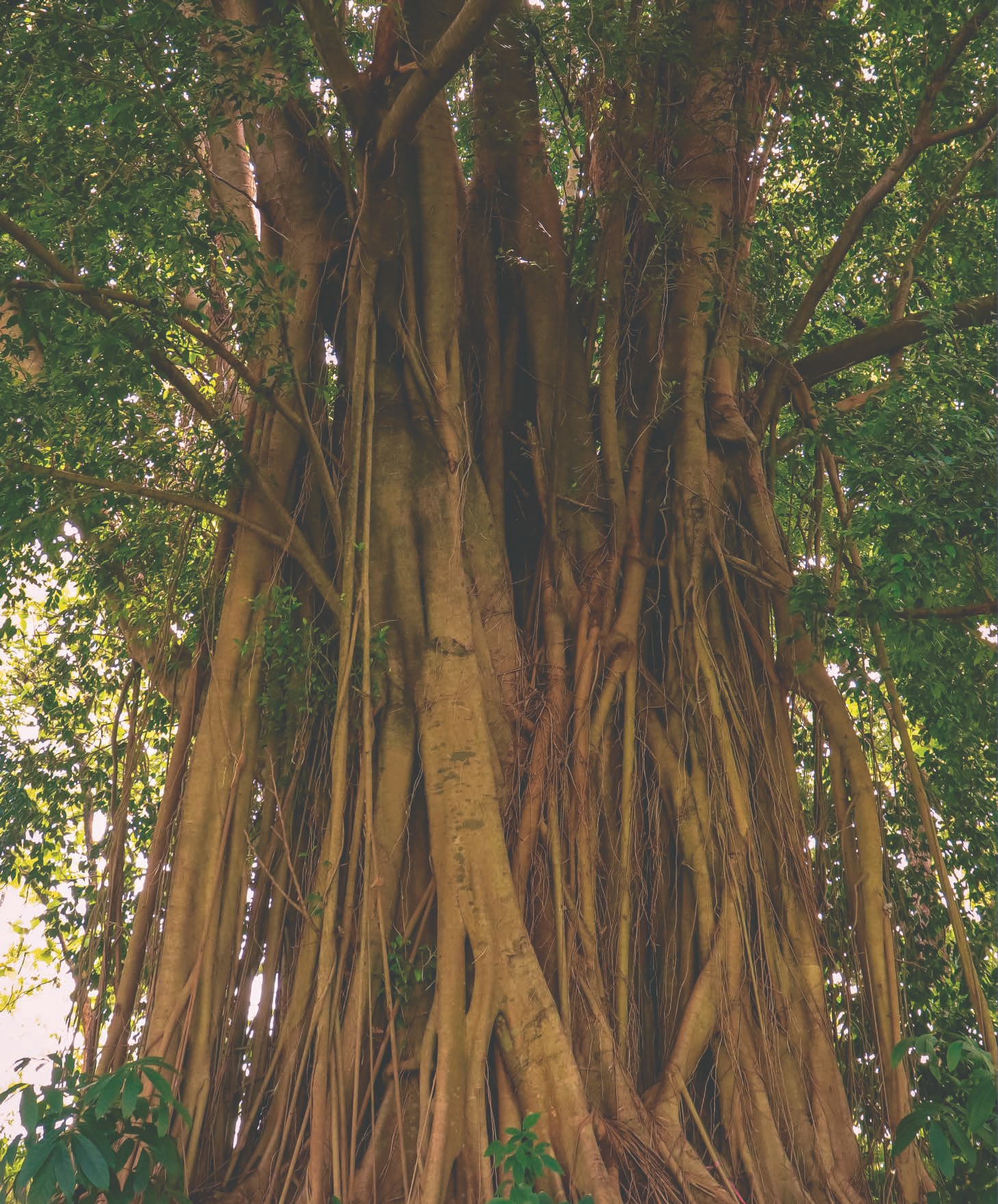 Southlake_product_knowledge__page-0020