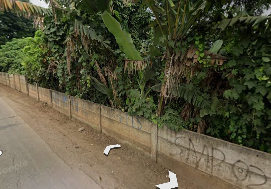 WhatsApp-Image-2025-09-23-at-09.12.38-1