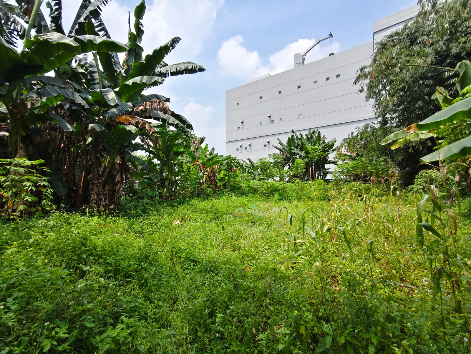 WhatsApp-Image-2025-09-27-at-13.50.04