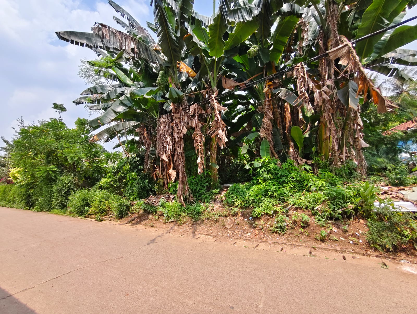 WhatsApp-Image-2025-09-27-at-13.50.05-1