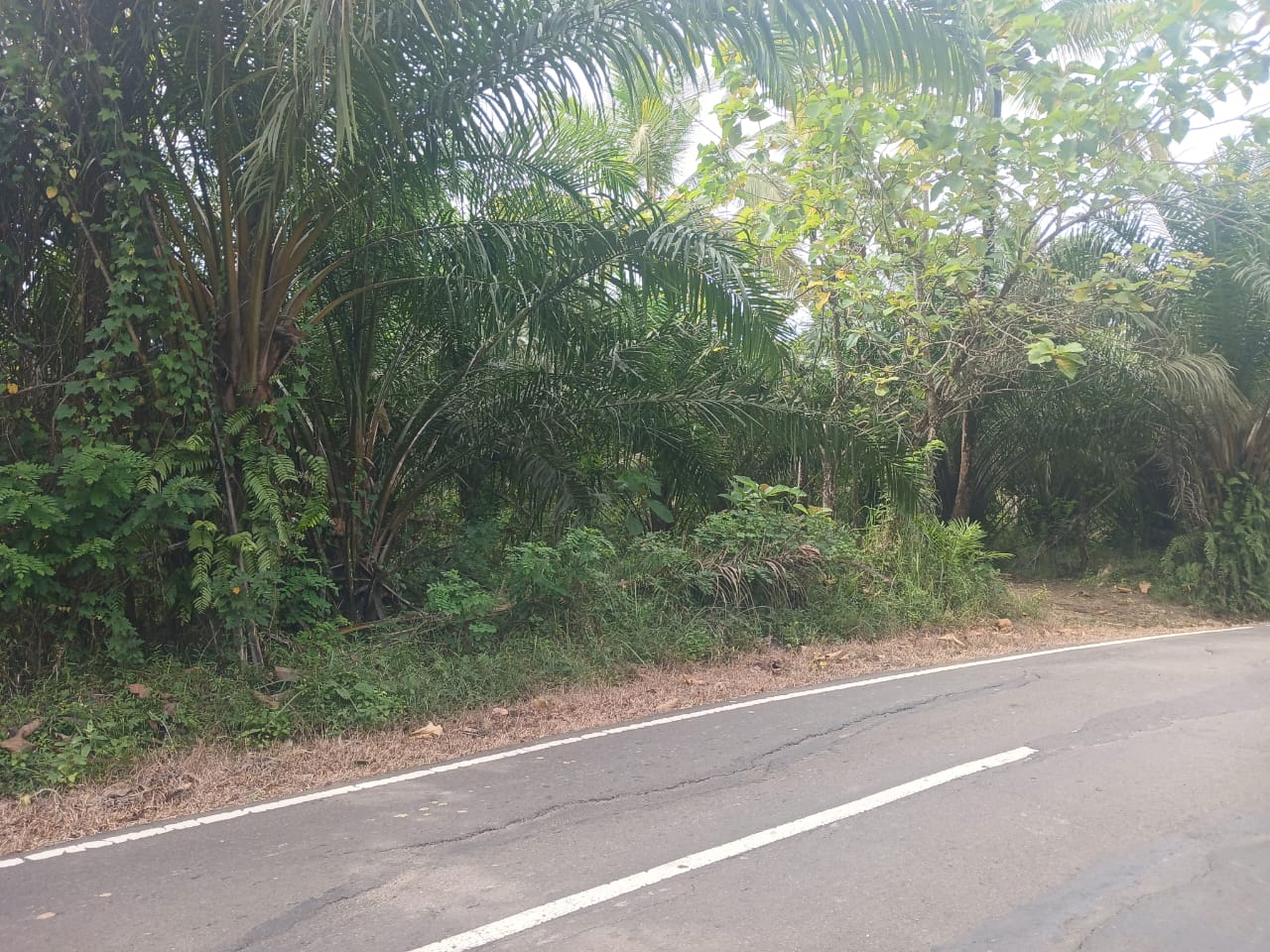 WhatsApp-Image-2025-09-28-at-17.31.01-1