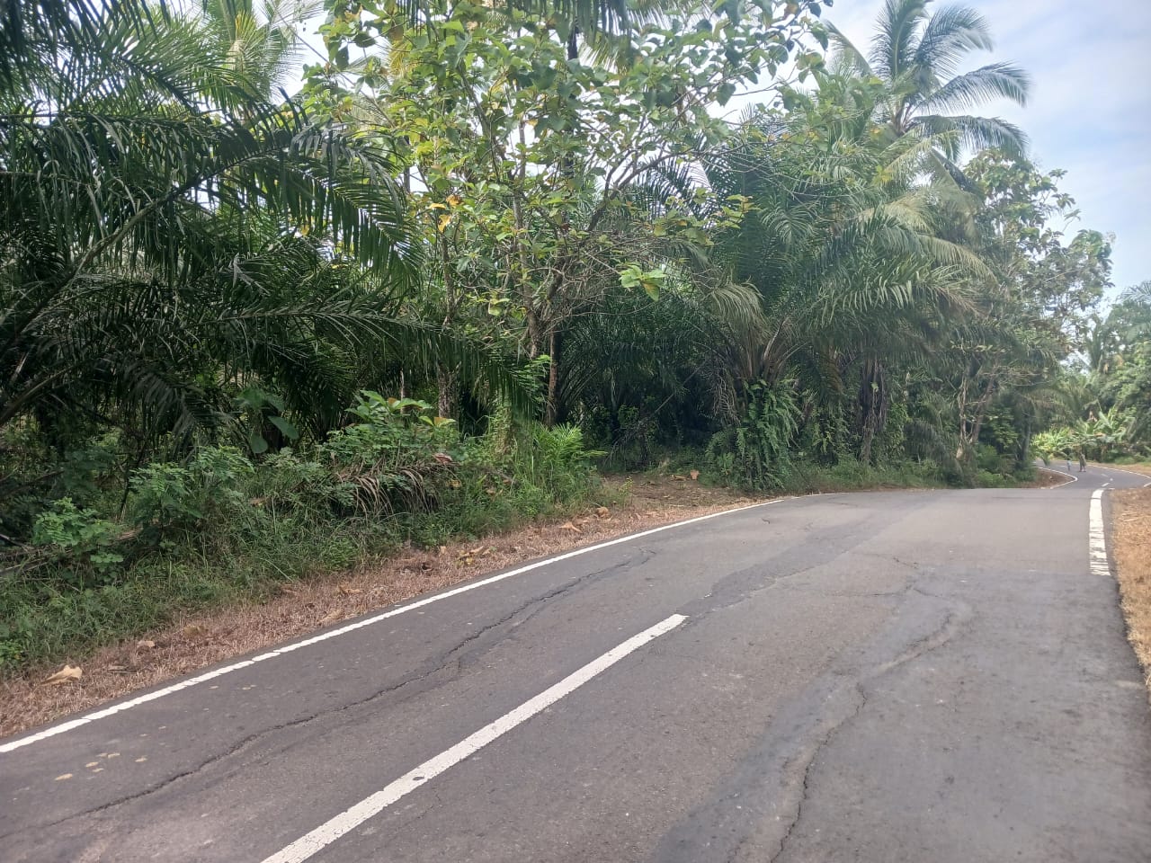 WhatsApp-Image-2025-09-28-at-17.31.01