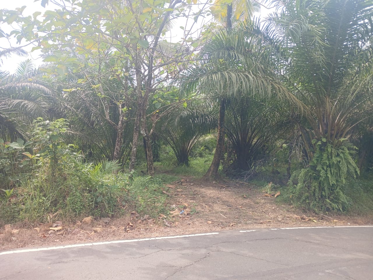 WhatsApp-Image-2025-09-28-at-17.31.02