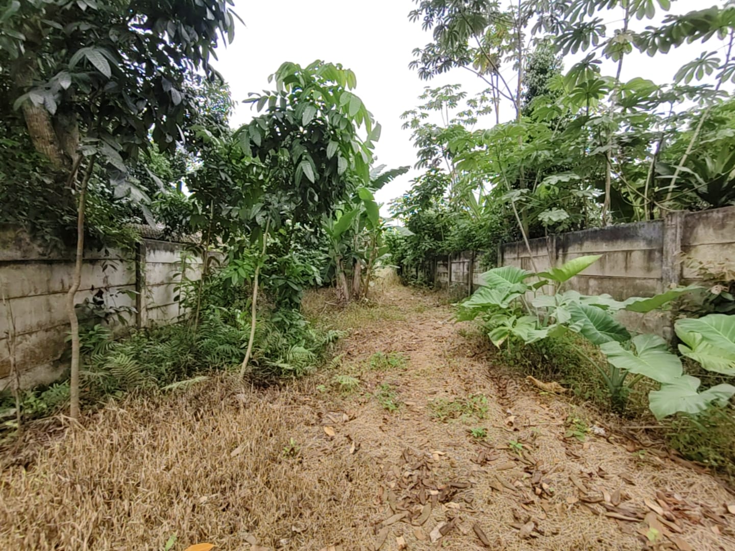 WhatsApp-Image-2025-10-02-at-10.05.54-3