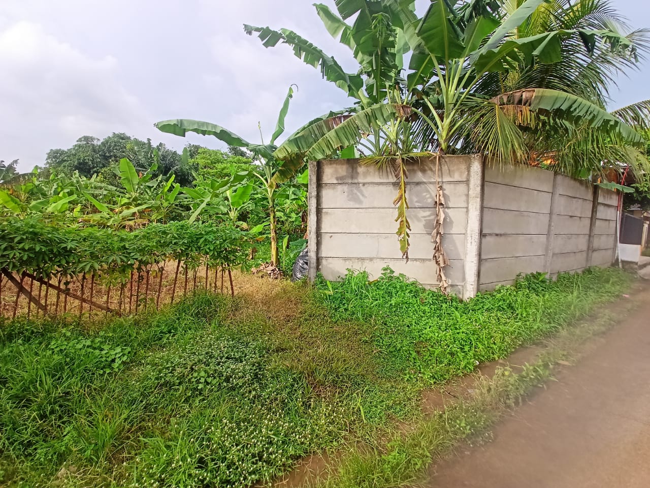 WhatsApp-Image-2025-10-02-at-16.32.48-1