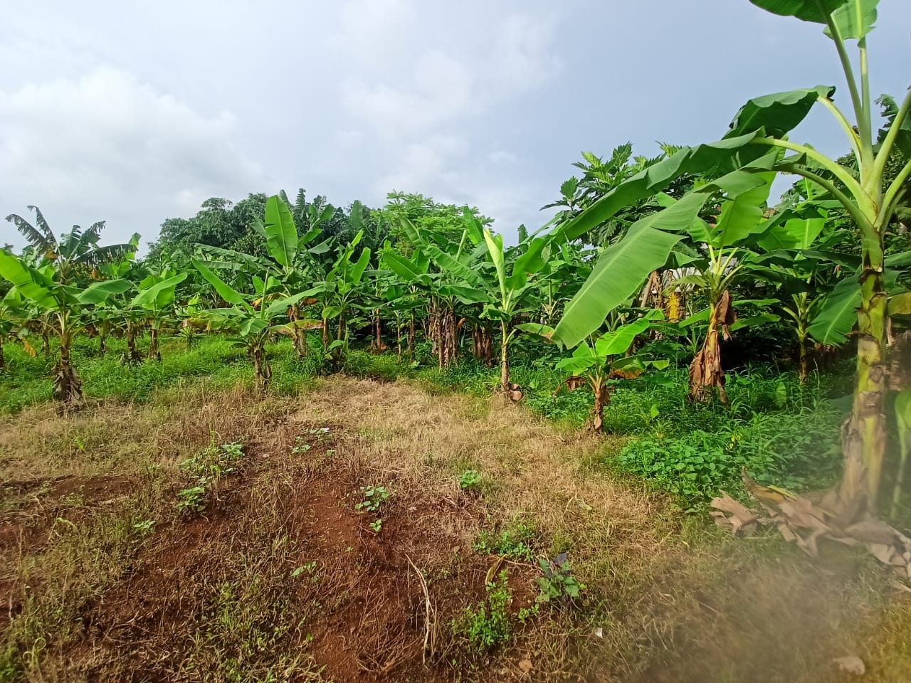 WhatsApp-Image-2025-10-02-at-16.32.48