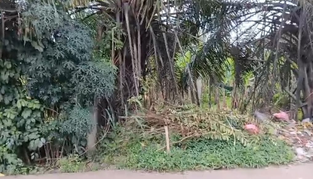 WhatsApp-Image-2025-10-14-at-22.22.01-2