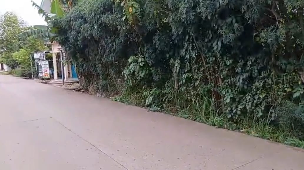 WhatsApp-Image-2025-10-14-at-22.22.02