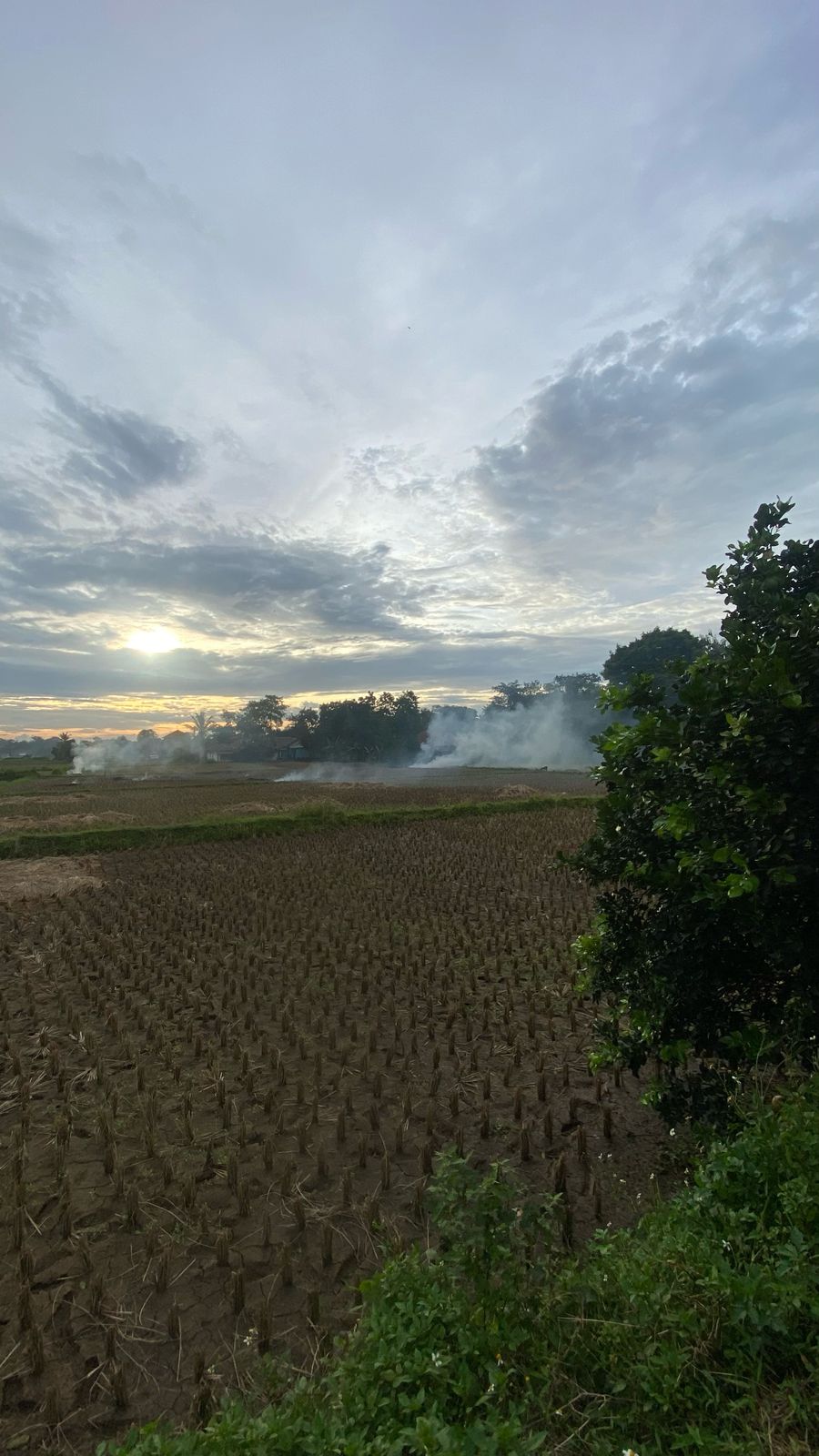 WhatsApp-Image-2025-10-15-at-11.16.45-1