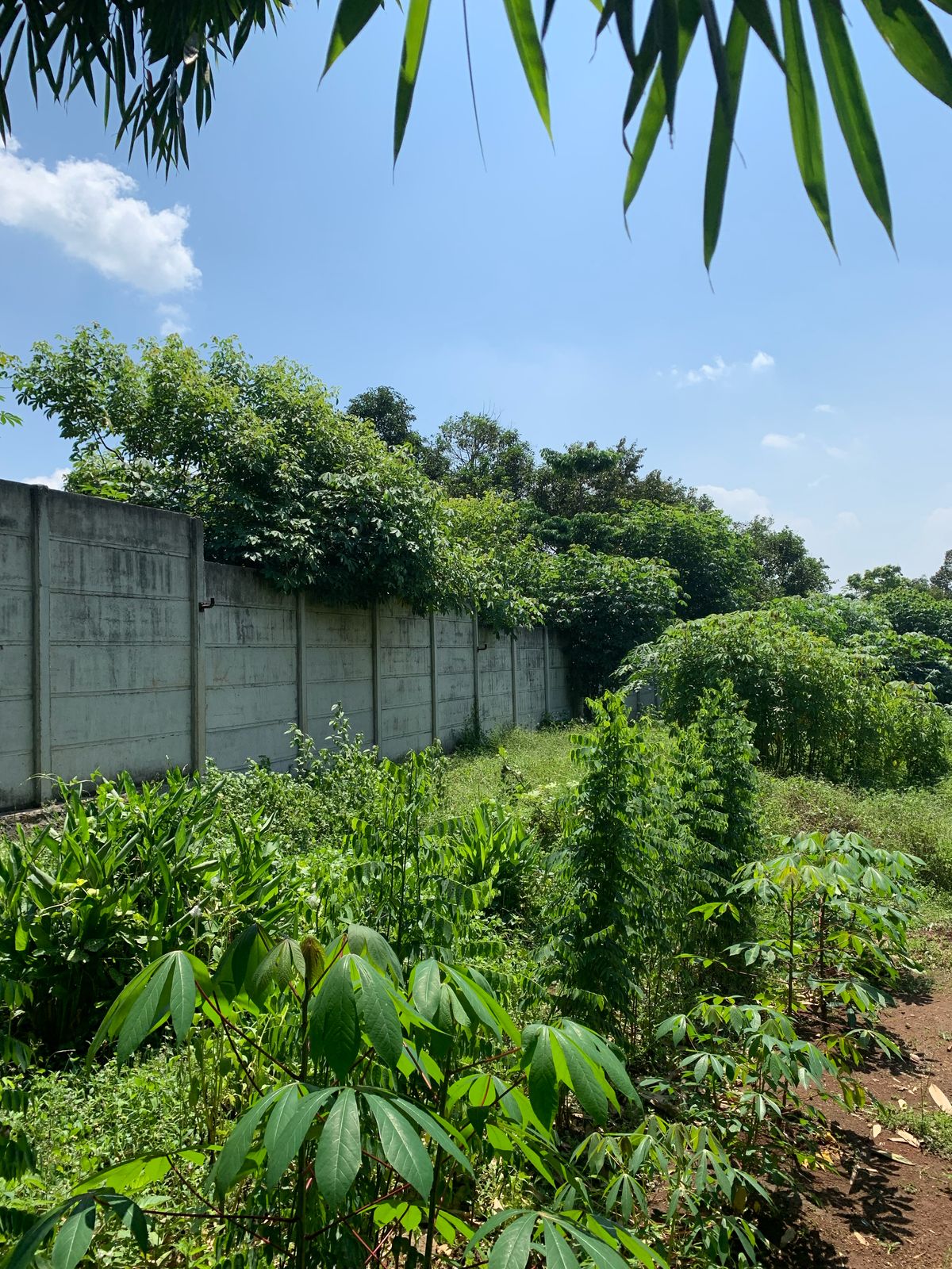 WhatsApp-Image-2025-10-15-at-11.24.07