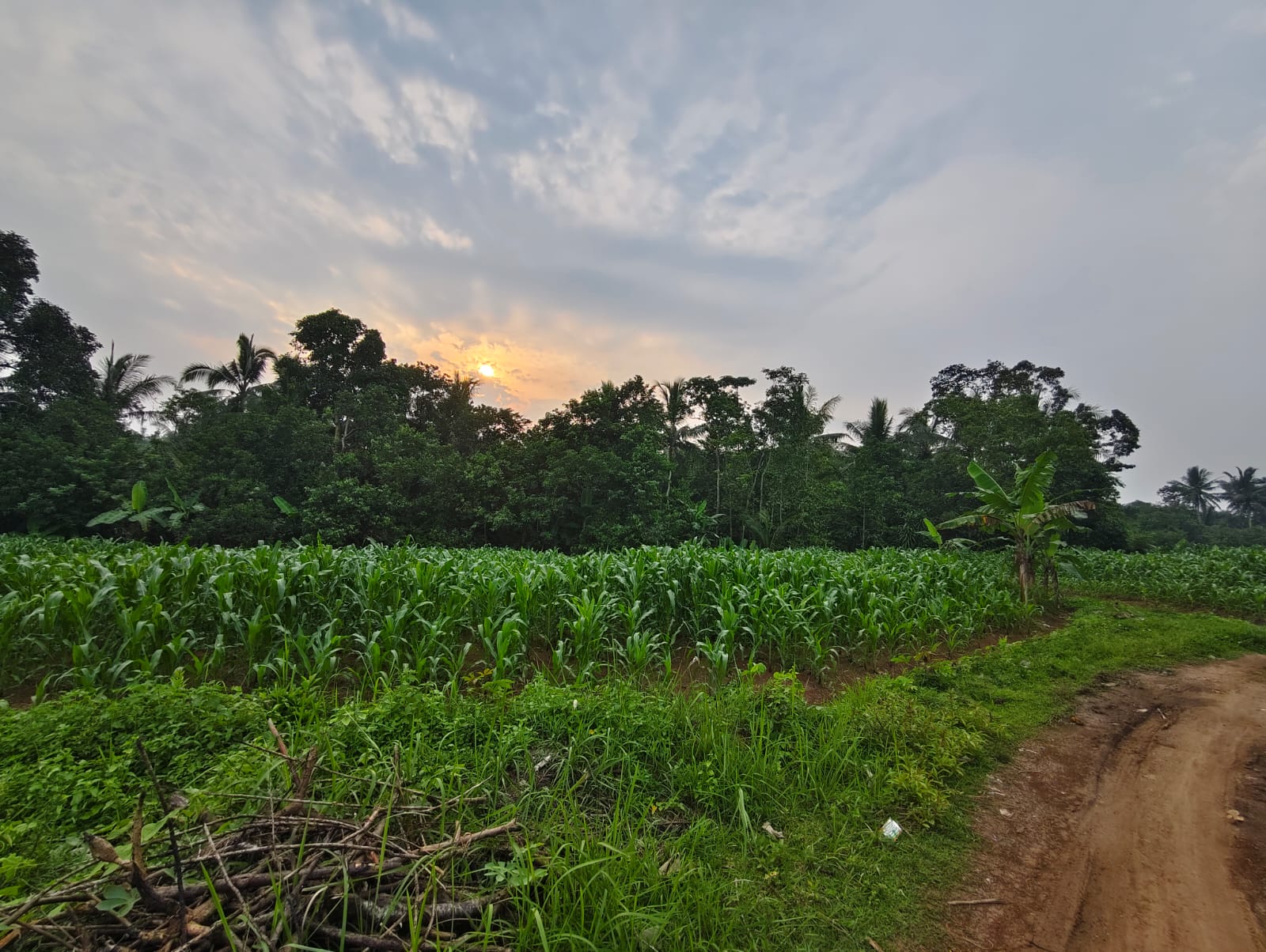 WhatsApp-Image-2025-10-15-at-11.24.08-1